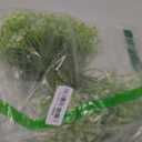 144Pcs Babys Breath Artificial Flowers for Outdoors, White Faux Baby Breath Flowers Artificial Bulk, Fake Babies Breath Flores Gypsophila for Wedding Bouquet Home Arrangements Garden Decor