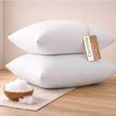 20x20 Throw Pillow Inserts Pack of 2, Premium Polyester Cushion Fillers, Fluffy White Decorative Pillows for Couch, Bed & Chairs