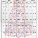 2025 Women's Summer Boho Floral Maxi Dress with Pockets - A-Line Smocked Tiered Ruffle Sleeveless Beach Sun Dress (Blue)