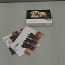 Labs 2025 6.2" x 5.4" Box Calendar