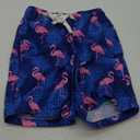 swimsobo Swim Trunks for Boys Size 7 Compression Liner Swim Bathing Suit Hawaii Flamingo Swimming Shorts Beach Boardshorts