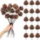 Larber 15pcs Natural Pine Cones Decoration 30CM Pine Cones Ornaments with Stem Pine Cone Picks for Christmas Tree Ornament Vase Party Holiday DIY Craft Home Decoration