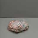 Panadila Womens Striped Two Piece Sets Summer Lounge Outfits Sailor Tube Top and Pants Matching Set Beach Vacation Travel Y2k, large, Color: Red Combo