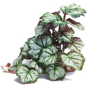 Woyrise Reptile Artificial Plants for Terrarium Decor, Amphibian Habitat Hideout Bearded Dragon Tank Decorations fit Crested Gecko Leopard Lizard Chameleon Ball Python Snake Frog - Saxifrage