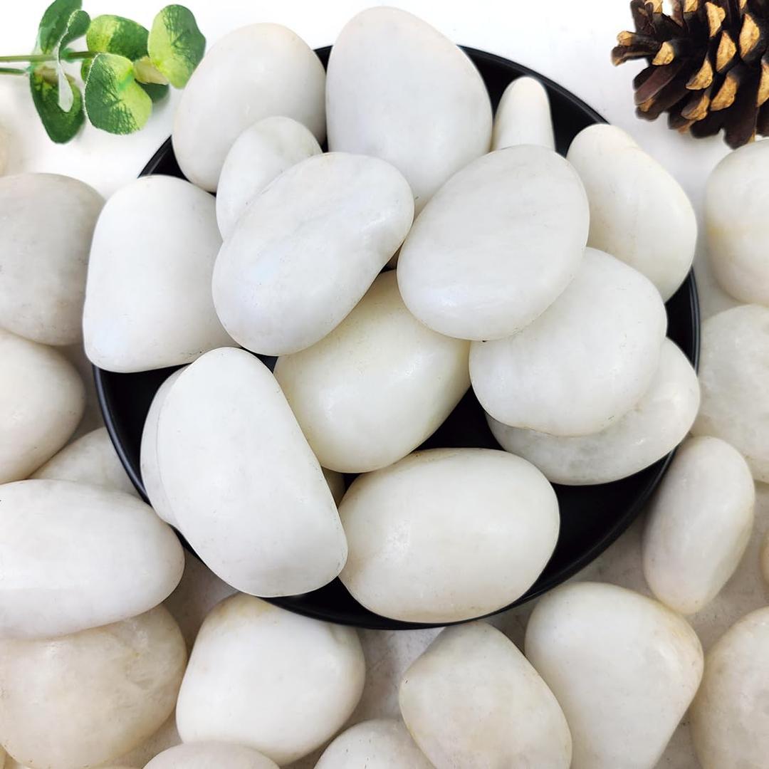 40lbs White River Rocks for Landscaping, 2-3 Inch Natural Pebbles for Indoor Plants, High Polished Decorative Stones Garden Outdoor and Indoor DIY Vase Filler Fish Tank Aquariums 40lbs White River Rocks for Landscaping, 2-3 Inch Natural Pebbles for Indoor Plants, High Polished Decorative Stones Garden Outdoor and Indoor DIY Vase Filler Fish Tank Aquariums