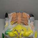 JOYIN 5.6 FT Halloween Posable Life Size Skeleton, Full Body Realistic Bones with Movable Joints, Rainbow Color Giant Skeletons for Halloween Decoration Outdoor, Haunted House Prop, Spooky Scene Party