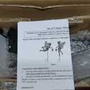 Solar Fairy Garden Stake Decorative Lantern, 2 Pack Metal Fairy Angel Garden Silhouette Lights for Lawn, Pathway, Patio, Yard Outdoor Decor