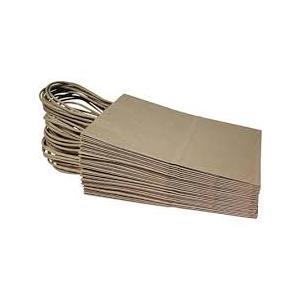  100 Pcs Brown Kraft Paper Bag