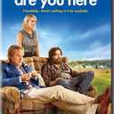 Are You Here, Fading Gigolo, The Paperboy,  DVD, 3 Movies
