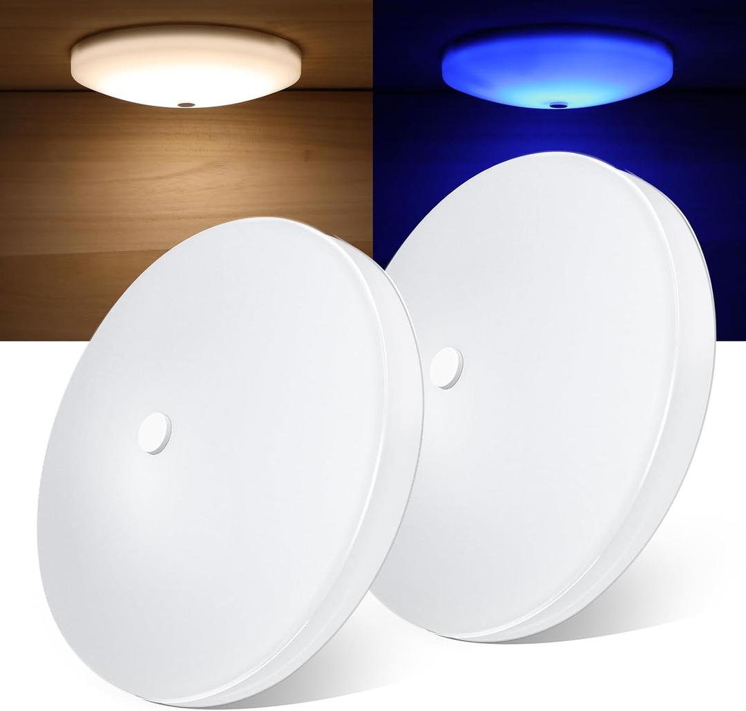 2 Pack RV Interior Ceiling Dome Light 4.5 Inch, Press Dimmer Switch & Blue Nightlight,12V Dimmable Puck Light for Motorhome Trailer Fifth Wheel Truck Coach Enclosed Trailer(4000K)