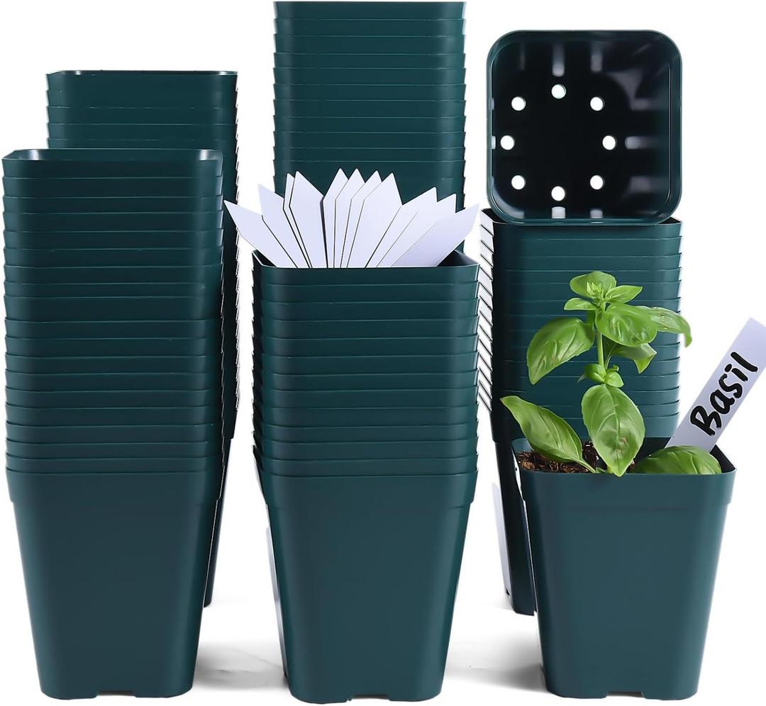 June Fox Small Seedling Pots 4 Inch, 100 Pcs Square Plant Pots Bulk, Plastic Nursery Pots with Drain Holes for Seedlings, Succulents, Cuttings (Green)