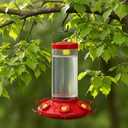 Perky-Pet 220 The Grand Master 48-Ounce Hummingbird Feeder