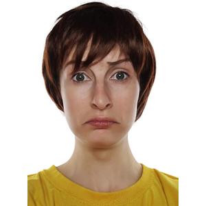 ALLAURA Morty Costume Short Brown Wig Shaggy Costume Men, Mens Shaggy Wig 60s Wigs Mod Sonny Austin for Adults Mens Halloween Wig