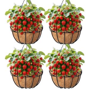 Amagabeli 4 Pack 14 Inch Metal Hanging Baskets Planter Outdoor Round Wire Hanging Basket for Plants with Coco Fiber Liners Chain Plant Holder for Garden Patio Deck Porch Plants Vegetables Flower Pots (Black)