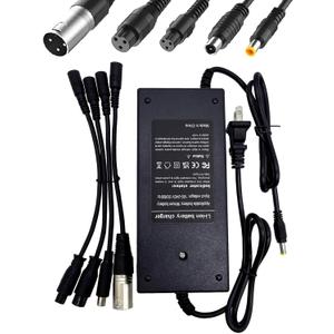 42V 2A (5 Plugs) Charger for Jetson Voyage Razor Swagtron Bird Gotrax Ninebot Segway Hiboy 36V 10S Lithium-ion Battery Converter Interfaces 3 Prong (8mm/12mm) DC (5.5 * 2.5/2.1mm) 8mm RCA/3-Pin XLR