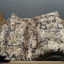 GarveeHome Area Rug 8x10 Washable Living Room Rug Non Slip Distressed Floor Cover Foldable Low Pile Traditional Accent Rug Floral Print Soft Throw Carpet for Bedroom Dining Room Office, Brown