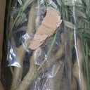 Artificial Olive Tree 6FT  Tall Faux Tree with Realistic Silk Leaves, Handmade Seagrass Basket, Low-Maintenance Large Fake Plants for Modern Office, Floor & Home Decor, Living Room, Indoor Plants