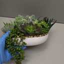 Winlyn 9" Artificial Potted Succulent Plants Arrangement Assorted Faux Succulents in White Round Concrete Planter Fake Succulent Bowl for Home Garden Wedding Centerpiece Mantel Table Greenery Dcor