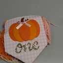Little Pumpkin 1st Birthday High Chair Banner  Fall First Birthday Party Decor for Baby Girls, Pink and Orange Yarn Tassel Highchair Banner, Our Little Pumpkin Is One Party Decor