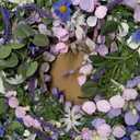 24 Inches Summer Wreaths for Front Door Blue Summer Door Wreath Spring Floral Wreath with Wildflower White Sunflower for Porch Indoors Outdoor Window Home Decorations