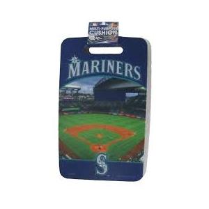 MULTI - PURPOSE CUSHION 10" x 17"