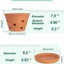 vensovo 8 Inch Terracotta Orchid Pots with Holes and Saucers - 2 Pack Clay Orchid Planter Pots for Repotting, Breathable Flower Pots for Indoor Outdoor, Promotes Air Circulation & Healthy Roots