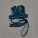 HEYWEAN Cat Harness and Leash - Ultra Light Escape Proof Kitten Collar Cat Walking Jacket with Running Cushioning Soft and Comfortable Suitable for Puppies Rabbits (Medium, Turquoise)