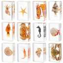 12 Pcs Real Ocean Animal & Insect Specimens in Resin - Educational Science Display Collection with 12 Unique Styles - Perfect for School Projects, Bug Collectors & Home Decor