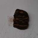 Raquel Welch Captivating Canvas Chin Length Layered Wig by Hairuwear, Average Size Cap, RL29/33SS Iced Pumpkin Spice