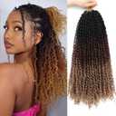 Yanky Twist Crochet Hair 16 Inch 10 Packs Yanky Passion Twist Crochet Hair Crochet Hair Pre Looped Spring Twists Hair Pre-twisted Fluffy Mini Crochet Twists Hair Crochet Braids Hair (1B/30/27)
