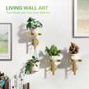 DELLAN Wall Plant Holder, 3 Pack Metal Wall Planters Stand Floating Shelves for Indoor Plants, Window Sill Plant Decor for Bedroom, Bathroom, Living Room, Home, Office, All Gold
