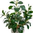 AlphaAcc 17.8 Inch Artificial Ficus Plant Potted Faux Greenery in Gray Round Vertical Striped Cement Planter with Pebbles Realistic Fake Plant for Indoor Modern Home Kitchen Living Room Office Decor