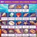 PIBEX Ocean Fossil Dig Kit, Dig up 20+ Real Shells & Seasnails, STEM Educational Activity Set Sea Creatures Excavation Toy for Kids, Marine Biology Geology Science Kit, Gift for Boys and Girls Age 6+