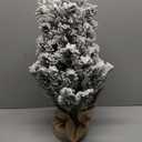 Brizled Snow Flocked Smart Christmas Tree, 2ft Mini Christmas Tree with 100 LED RGB Light, App/ Voice Control 159+ Scenes Tabletop Xmas Tree USB C Music Small Tree Work with PD Power for Fireplace Desk