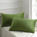 Pack of 2 Velvet Decorative Throw Decorative Pillow Cover Soft Solid Square Xmas Cushion Case for Couch Green 12 x 20 inches