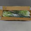 Grunyia 20 Bundles Artificial Plants Outdoor Fake Monkey Grass with Flowers (White)