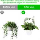 Round Acrylic Trellis for Climbing Plants, Small Plant Trellis House Plant Accessoriess for Indoor Outdoor Pothos Vine Ivy Monstera Hoya Flowers, 5 Pieces