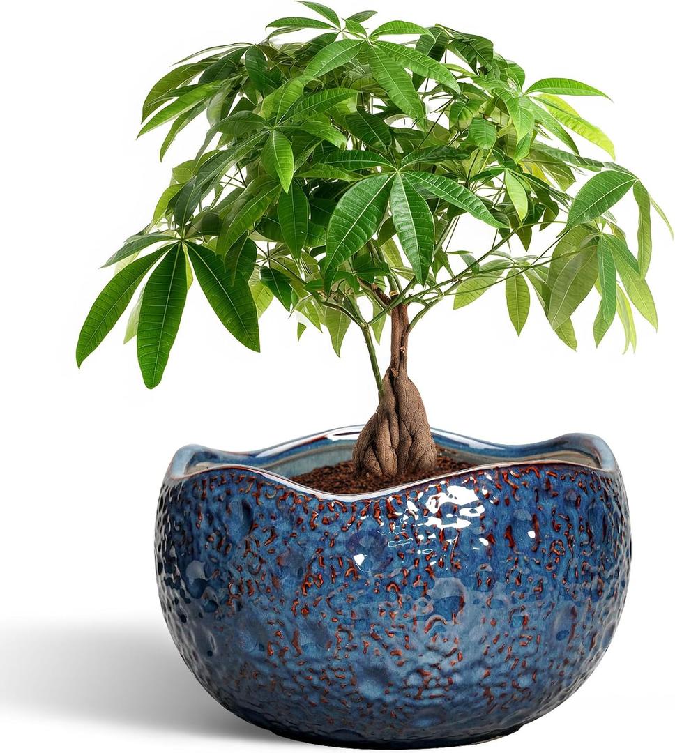 10 Inch Plant Pot - Ceramic Planter for Indoor Outdoor, Round Bonsai Pots, Decorative Flower Pots with Drainage Hole, Modern Unique Planters, House Decor, Home Gifts, Retro Blue, 10.5 Inch