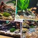 RITOLLO 6 lb Aquarium Gravel, 3/8 in Polished Fish Tank Rocks for Aquarium Decor, River Rocks for Indoor Plants Succulents, Decorative Stones for Outdoor Garden Decor (Mixed Color)