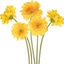 Yellow Gerbera Daisy Artificial Flowers  Real Touch Latex Silk Daisy Flowers 5PCS, 26.7" Long Stem Artificial Flowers for Summer Centerpieces, Home Decor Indoor, or Fake Wildflower Displays