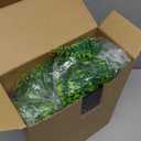 12 Pcs Reptile Plants for Terrarium Fake Reptile Plants Bearded Dragon Tank Accessories Fake Hanging Vines Artificial Leaves with Suction Cup Lizards Geckos Snake Pets Hermit Crab Habitat Decor