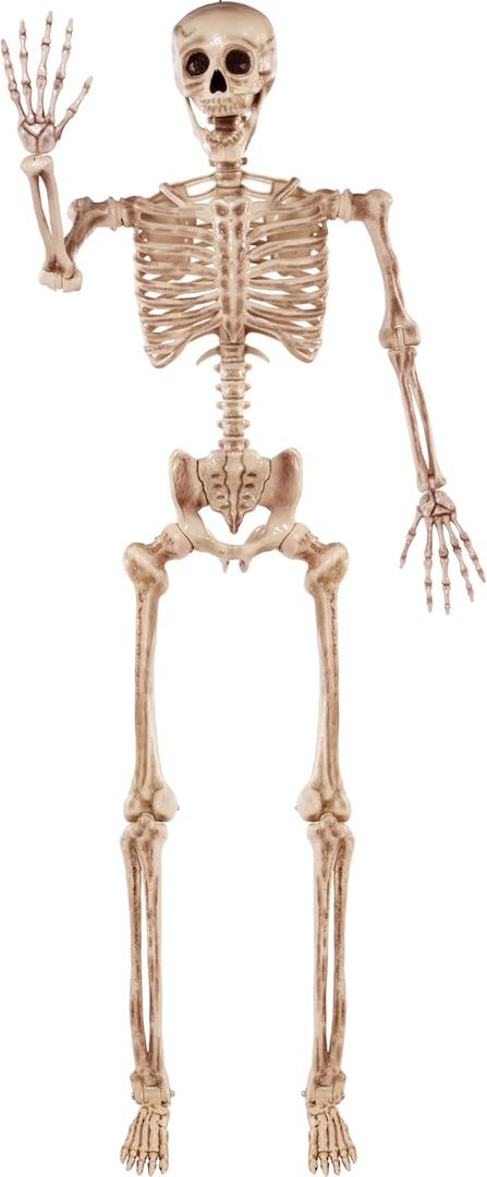 JOYIN 5.6 FT Halloween Posable Life Size Skeleton Full Body Realistic Bones with Movable Joints for Halloween Indoor and Outdoor Decoration Props Spooky Scene Party Decorations (Yellow)
