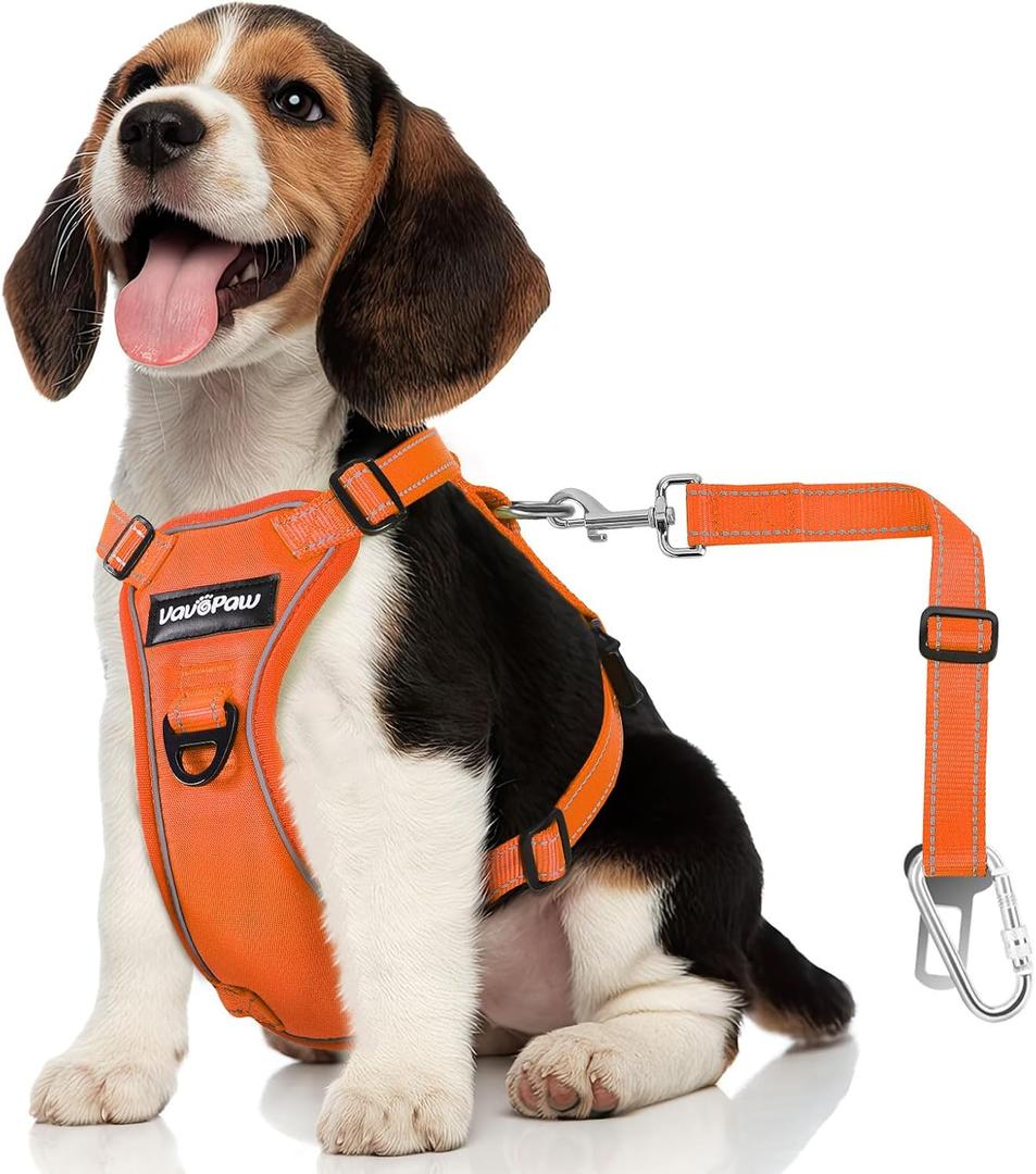 Dog Seat Belt Harness for Car, Dog Car Harness Adjustable Mesh Breathable & Dogs Seatbelt Safety Tether with Elastic Bungee (Orange, S) (Chest: 16.5-21.7", Neck: 8.7-13.8"))