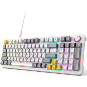 GEEZER AK96 Mechanical Gaming Keyboard, Pre-Lubed Red Switches, 96 Keys Full Size with LED Colorful Backlit, Clicky Creamy Sound, USB Wired Computer Keyboard with Volume Knob for PC, Mac, Windows