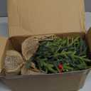 Set of 2 Mini Christmas Tree, 12 in Pre-lit Tabletop Xmas Decorations with 8 Warm LED Lights, Battery Operated with Timer, Burlap Base Artificial Pine Tree for Indoor Desk Office Dorm