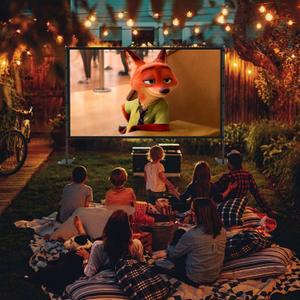 AHOLON Projection Screen Manual 60x100