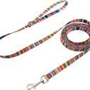 WYuZe Waterproof Dog Leash 7FT 12FT, Odor-Proof Strong Coated Nylon Leash - Lightweight & Easy to Clean for Small Medium Dogs Outside Walking, Training, Beach Playing (12ft, Rainbow) (5/8'' x 12 FT)