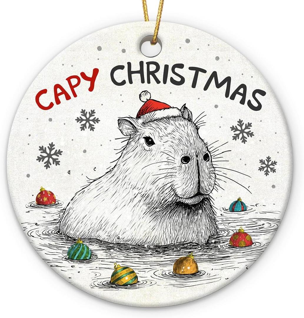Capybara Ornament 2025  Funny Animal Lovers, Cute Ceramic Ornament for Women, Men & Friends, Unique Capybara Decor for Tree Decoration or Gift Exchange