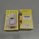 2 x Artificial Succulent Plants with Subtle Lemon Scent, Faux Indoor Plants for Home Decor, Small Fake Plant for Bathroom, Bedroom, Office Decor, Aesthetic Room Accessories, Housewarming Gift