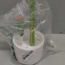 Boon Cacti Bottle Cleaning Brush Set  Includes Bottle Brush, Nipple Brush, Detail Brush, and Straw Brush  Baby Bottle Brush Set for Bottle Drying Rack  Baby Essentials  4 Count